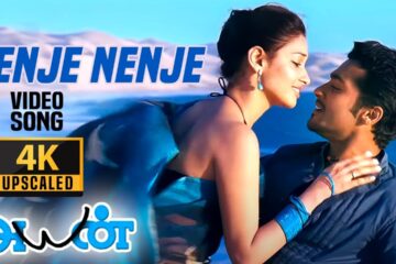 Nenje Nenje